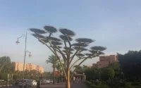 Marrakech : des arbres solaires pour recharger gratuitement les batteries
