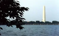 Washington : le consulat du Maroc se dotera d'un site Web