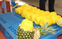 Un Marocain, considéré comme l'un des plus grands trafiquants de cocaïne en Espagne, arrêté (vidéo)