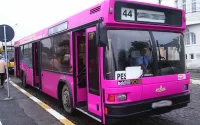 Des bus roses entièrement dédiés aux femmes pour la ville de Rabat
