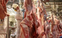 Les Marocains vont manger de la viande russe