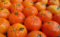 Quand un responsable algérien s'en prend à la qualité des fruits et légumes marocains