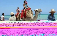 Pour les vacances d'été, les Français feront le choix du Maroc