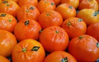 Le Maroc, premier fournisseur de l'Espagne en fruits et légumes
