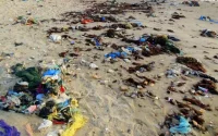 Voici les plages à éviter cette année au Maroc