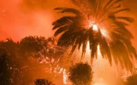 Canicule : le feu ravage plus de 4.000 palmiers et oliviers à Errachidia