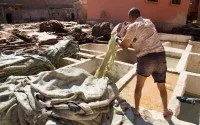 Maroc : 4 salariés sur 10 gagnent moins que le salaire minimum