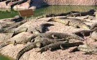 Le Maroc détient un record du monde