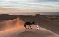 Maroc : un touriste étranger retrouvé mort à la frontière avec l'Algérie