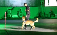 Les chiens policiers marocains plébiscités aux États-Unis
