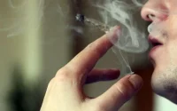 Maroc : vers la dépénalisation du cannabis ?