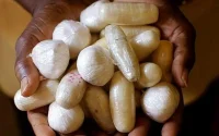 Un couple de Brésiliens arrêté à Casablanca avec de la cocaïne dans l'estomac