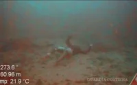L'image qui a boulversé l'Italie