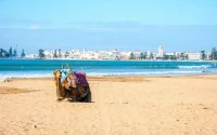 Le Maroc à la conquête du marché touristique britannique