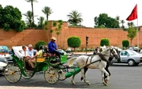 Marrakech : les conducteurs de calèches ont une surprise pour vous