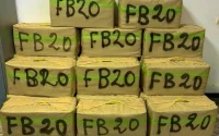 Maroc : plus de 179 tonnes de cannabis saisies en 2019