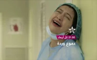 Carton plein pour la série Domou3 Warda