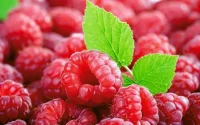 Le marché américain accueille la framboise marocaine