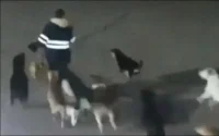 Maroc : l'enfant défiguré par des chiens errants va (un peu) mieux