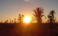 Météo : jusqu'à 37 degrés prévus ce lundi au Maroc