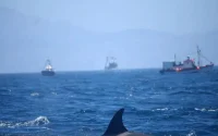 Disparition inquiétante de quatre pêcheurs au large de Gibraltar