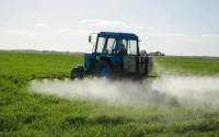 Le Maroc va-t-il mettre fin au "Chlorpyriphos" ?