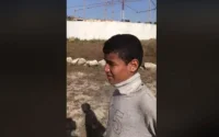 Maroc : le Français qui a foncé sur un troupeau de moutons au tribunal