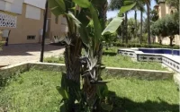 Bloqué au Maroc, un couple raconte l'interminable attente d'un rapatriement vers la France