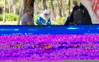 Les Marocains bloqués à l'étranger annoncent des manifestations pour exiger leur rapatriement