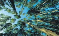 L'UE finance un projet environnemental marocain