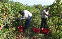 L'Italie veut régulariser 200 000 clandestins