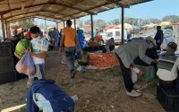 Coronavirus : l'économie marocaine a mieux résisté que ses voisins