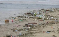 Casablanca : la pollution règne en maître sur les plages