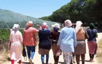 Espagne : plaidoyer pour le rapatriement des saisonnières marocaines