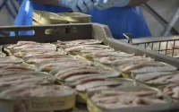 Coronavirus : un foyer de contamination détecté à Safi