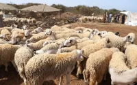 Maroc : la date de l'Aïd al-Adha 2020 désormais connue