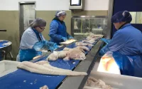 Coronavirus au Maroc : l'enquête se poursuit à Safi