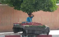 L'économie marocaine perd 589 000 postes au deuxième trimestre de 2020