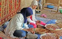 L'arganier marocain résiste à la concurrence israélienne
