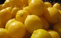 Citrons confits