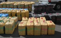 Trafic de drogue : trois individus interpellés à Tanger