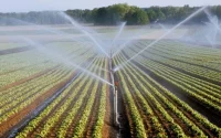 Maroc : le ministère de l'Agriculture en guerre contre l'urbanisation incontrôlée
