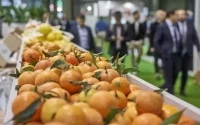 Le Maroc, gros pourvoyeur de denrées de base en Afrique de l'ouest