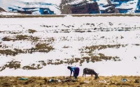 Ouarzazate se prépare au grand froid