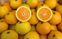 Coronavirus : croissance soutenue des exportations agricoles pendant la pandémie