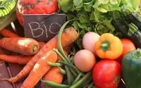 Le bio marocain très prisé au Canada