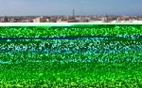 Dakhla : son rêve brisé, un Marocain tente de s'immoler par le feu