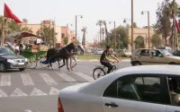 Maroc : le fisc sonne le glas de la fraude liée à la vignette