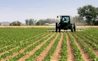 Accord d'association entre le Maroc et le Royaume-Uni : une « véritable aubaine » pour les exploitants agricoles