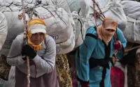 Vivement une meilleure alternative pour les « femmes-mulets » !